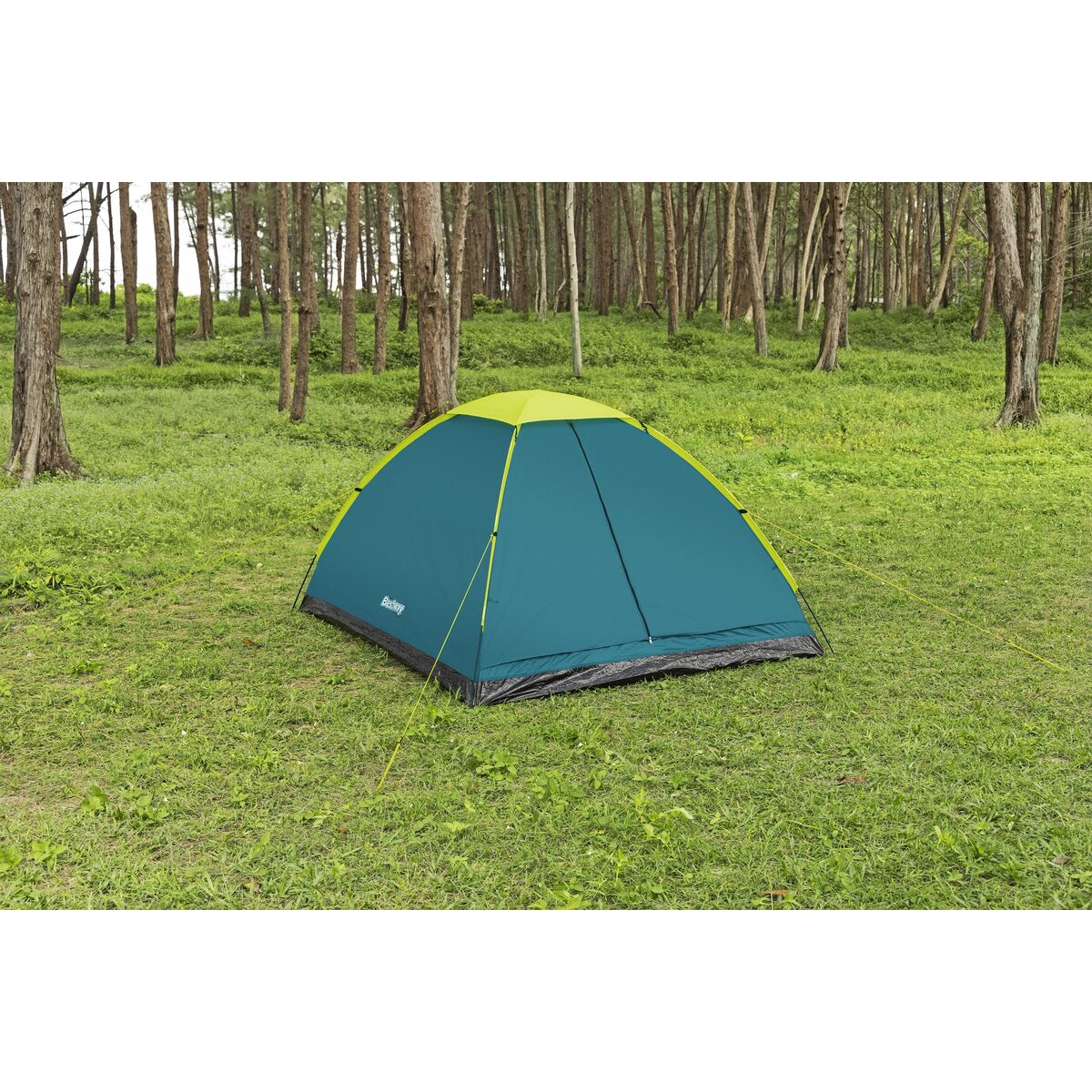 Strand- en Campingtent 240x200x135 Cm | Auredomo - foto 4