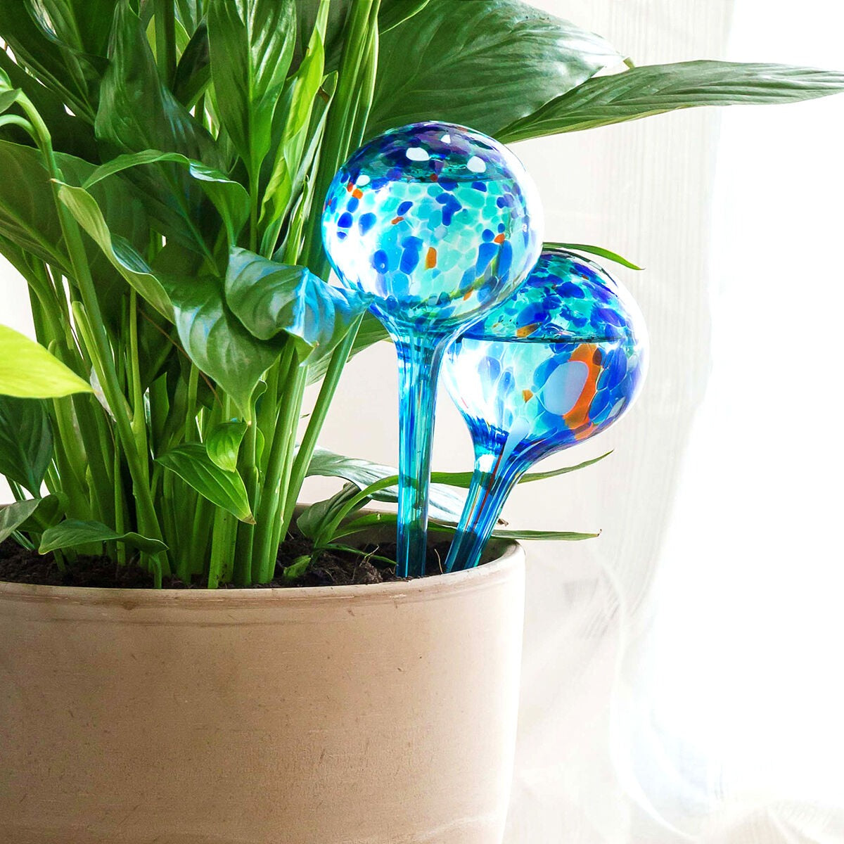 Bewateringsbollen voor planten - set van 2