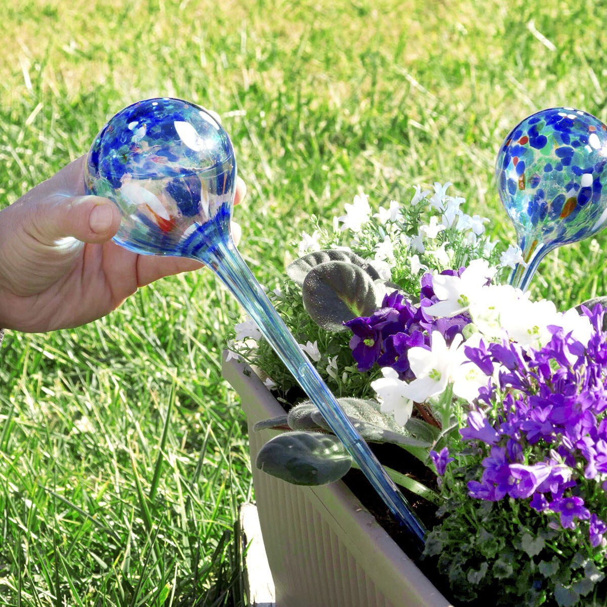 Bewateringsbollen voor planten - set van 2 detailweergave